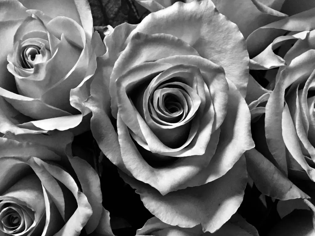 Condolence image of Anja mit Maja & Gräuli im ༺❤️༻