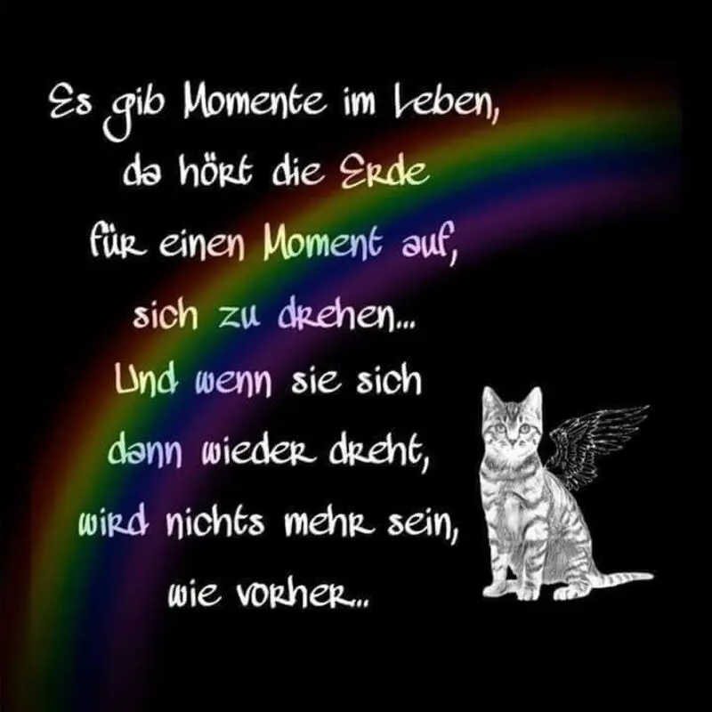 Condolence image of Hans u. Sibylle mit Momo † 13.11.2017