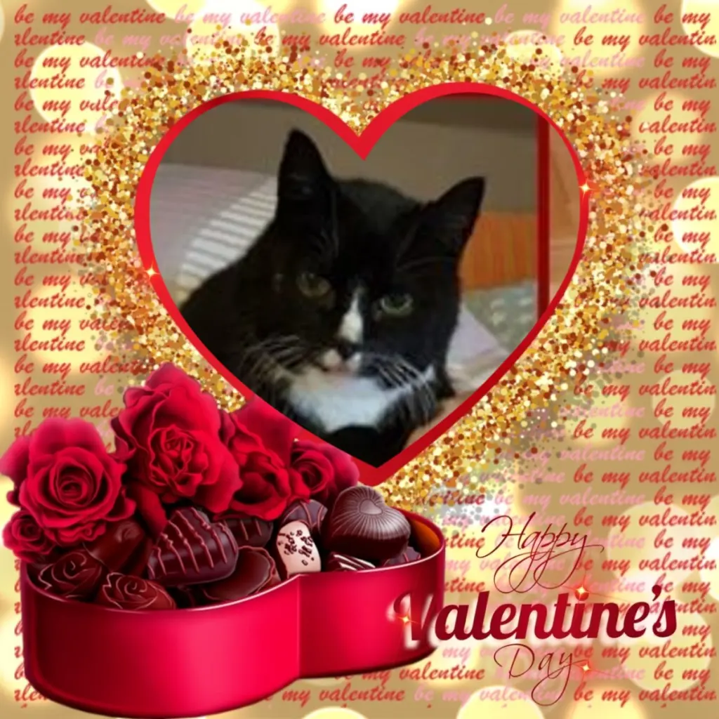 Condolence image of Valentins❤️Rosen❤️❤️❤️❤️❤️❤️❤️❤️