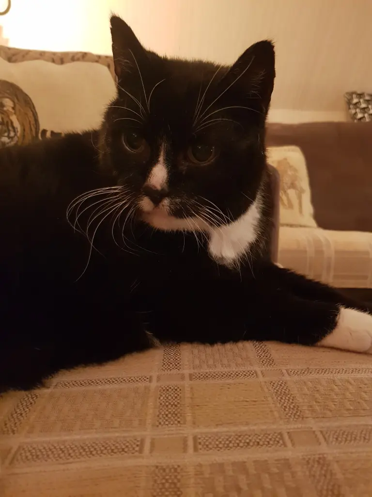 Condolence image of deiner Ilse in Liebe zum 2. Monatsgedenken