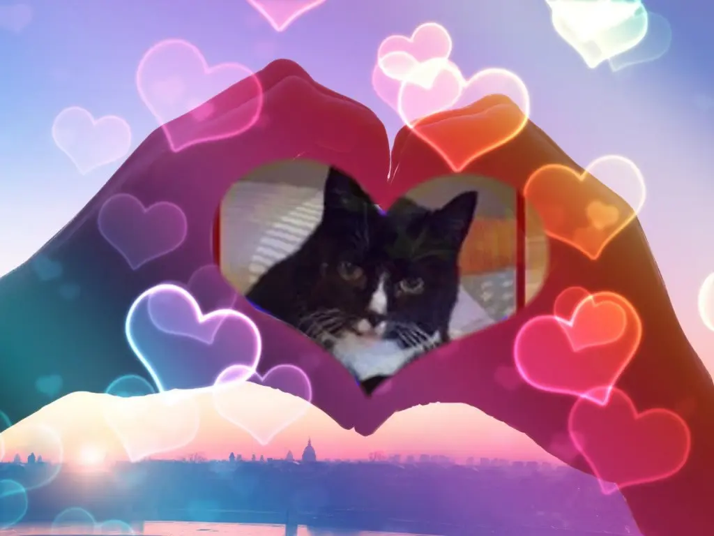 Condolence image of ❤️❤️❤️❤️❤️❤️❤️❤️❤️❤️❤️❤️