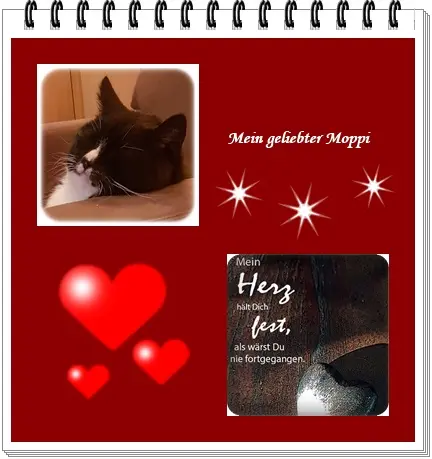 Condolence image of deiner Ilse in Liebe zum 5. Gedenkmonat