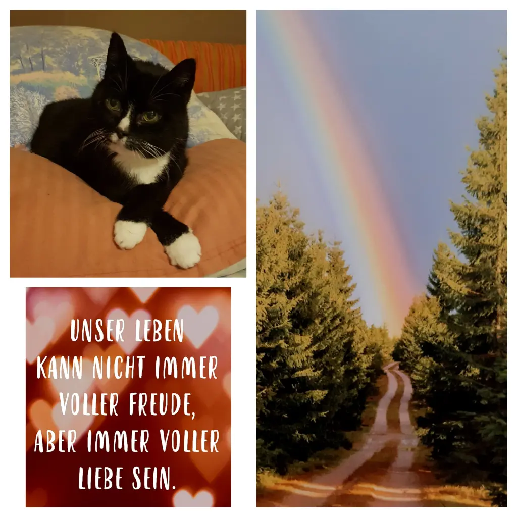 Condolence image of Anja