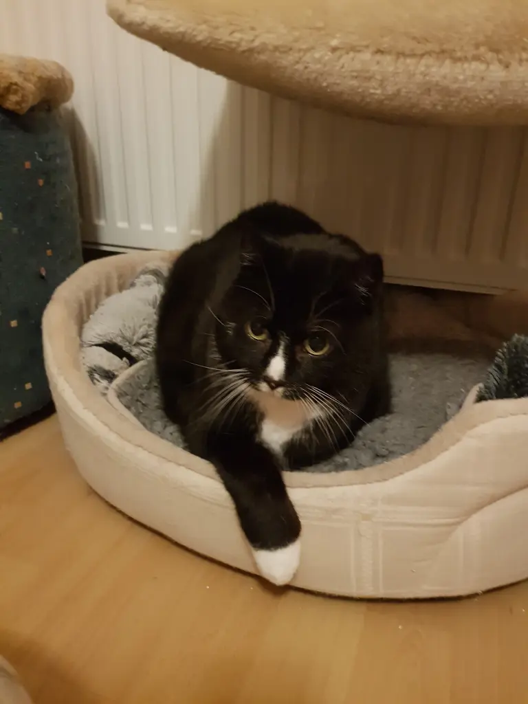 Condolence image of deiner Ilse in Liebe zum 9. Monatsgedenken