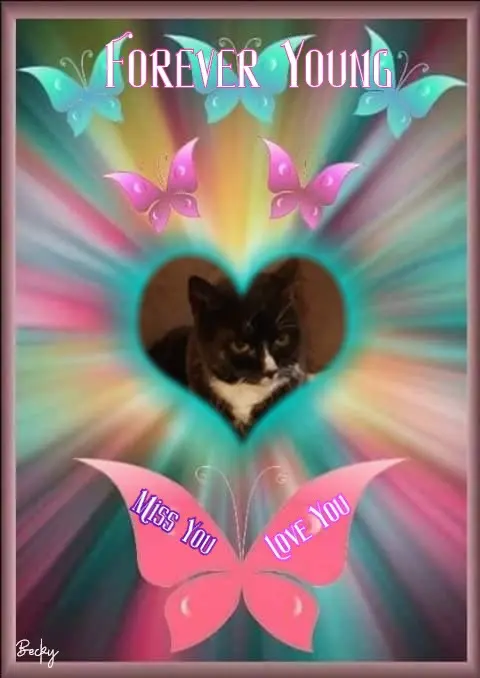 Condolence image of 1.Sternchen❤️ Gedenktag❤️