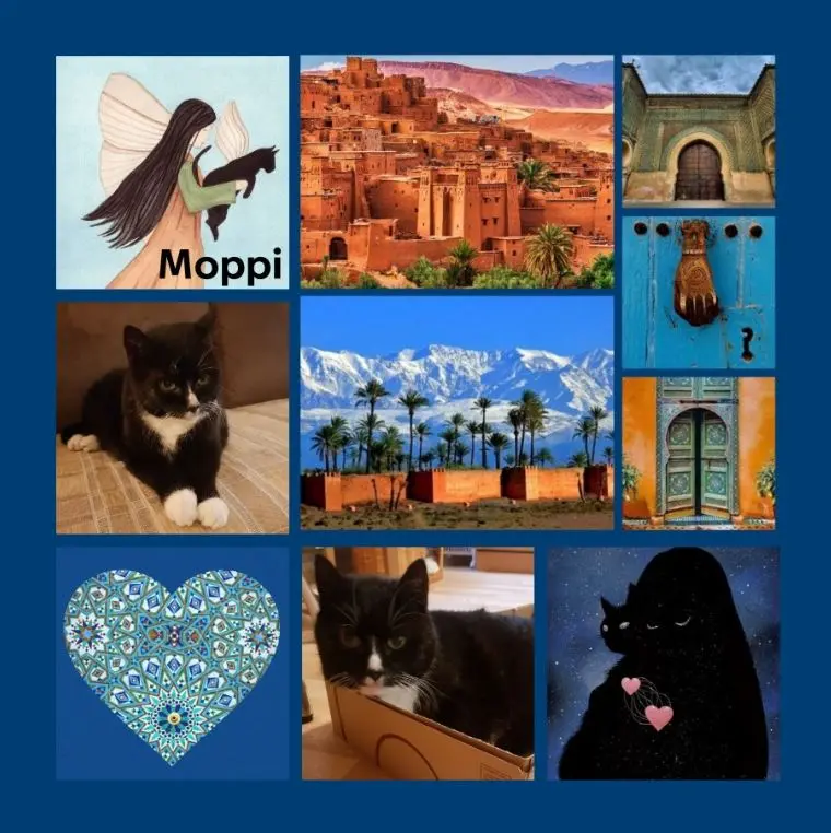 Condolence image of Rosen zum 1. Sternchengeburtstag für Moppi 