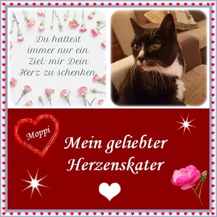 Condolence image of deiner Ilse in Liebe zum 15. Monatsgedenken