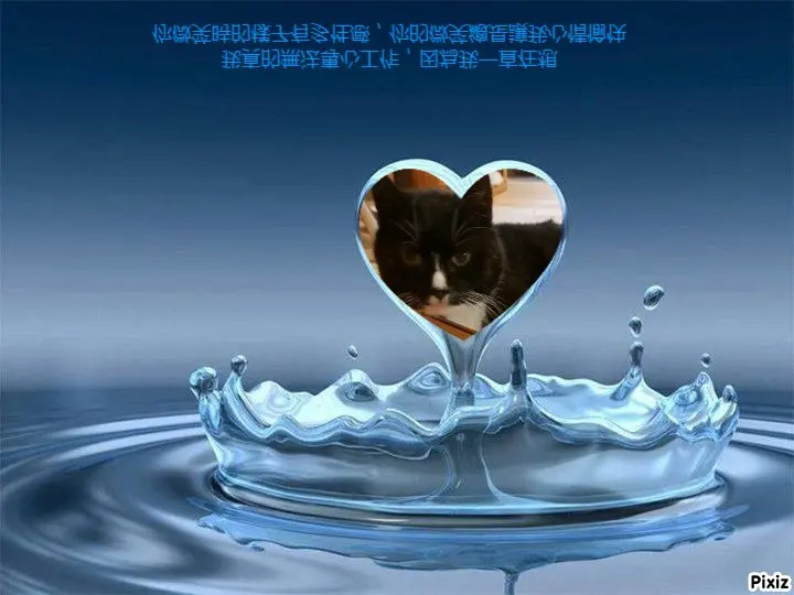 Condolence image of Tanja mit Timmy im Herzen 