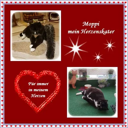 Condolence image of deiner Ilse in Liebe zum 17. Monatsgedenken