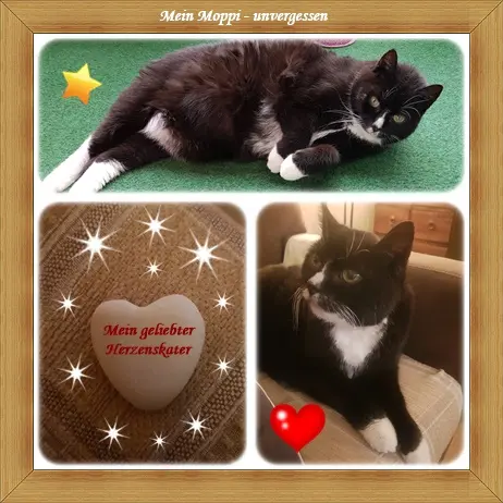 Condolence image of deiner Ilse in Liebe zum 20. Monatsgedenken