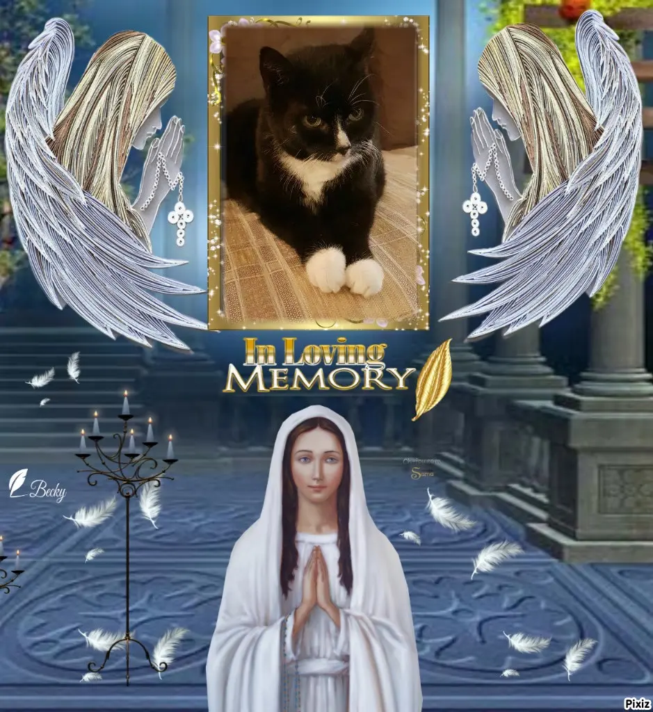 Condolence image of Tanja mit Timmy im Herzen 