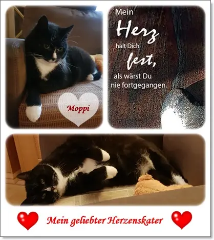 Condolence image of deiner Ilse in Liebe zum 21. Monatsgedenken