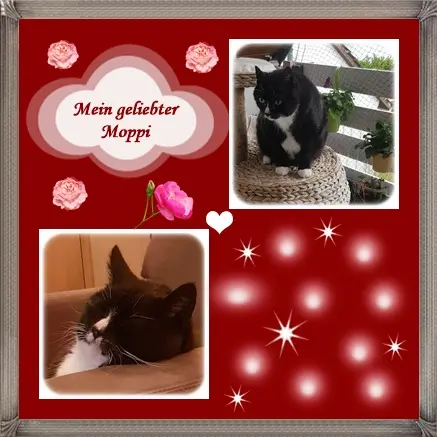 Condolence image of deiner Ilse in Liebe zum 23. Monatsgedenken