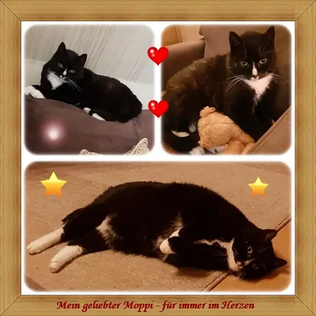 Condolence image of deiner Ilse in Liebe zum 2. Jahresgedenken