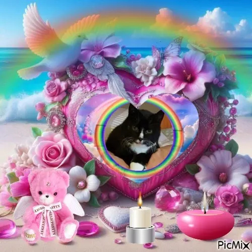 Condolence image of ❤️❤️❤️❤️❤️❤️❤️❤️❤️❤️❤️❤️