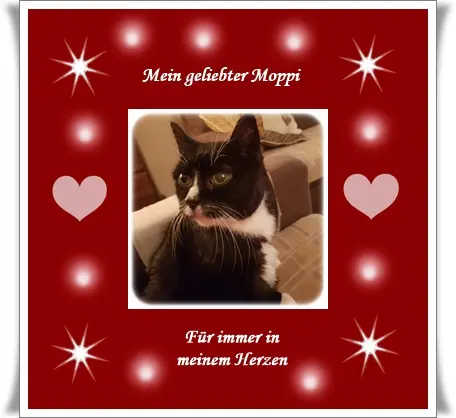 Condolence image of deiner Ilse in Liebe zum 25. Monatsgedenken