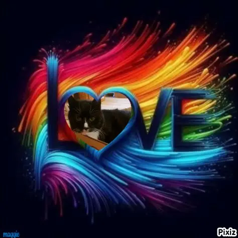 Condolence image of Tanja mit Timmy im Herzen