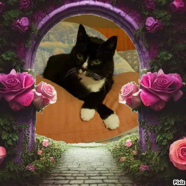 Andachtsbild von Tanja mit Timmy im Herzen