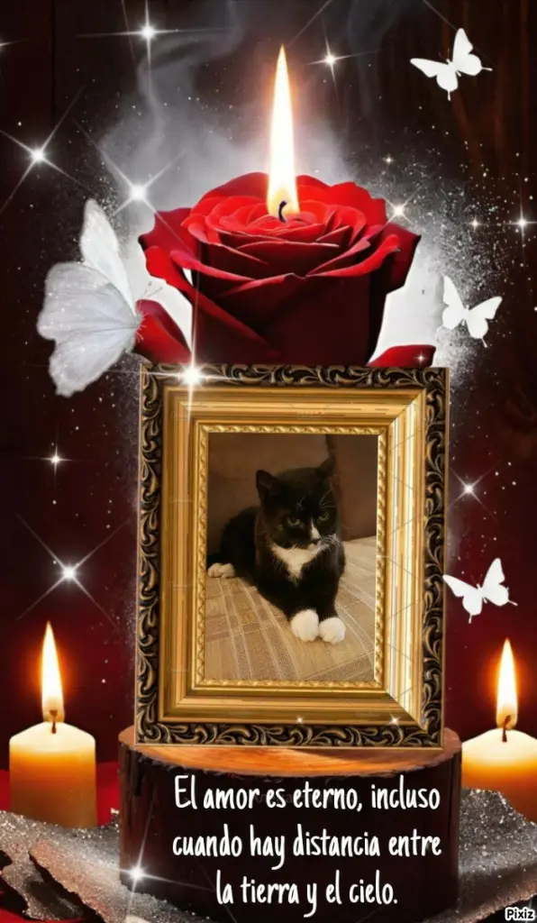 Andachtsbild von Tanja mit Timmy im Herzen