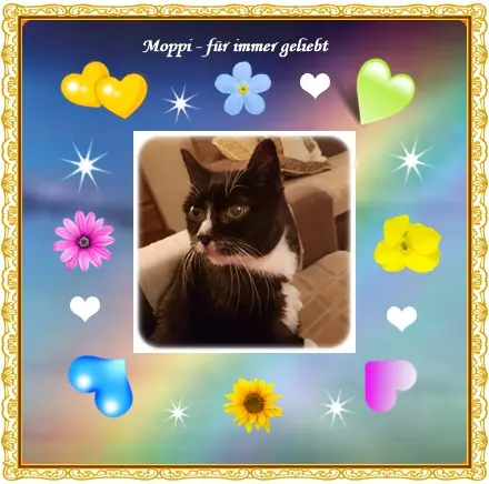 Andachtsbild von deiner Ilse in Liebe zum 31. Monatsgedenken