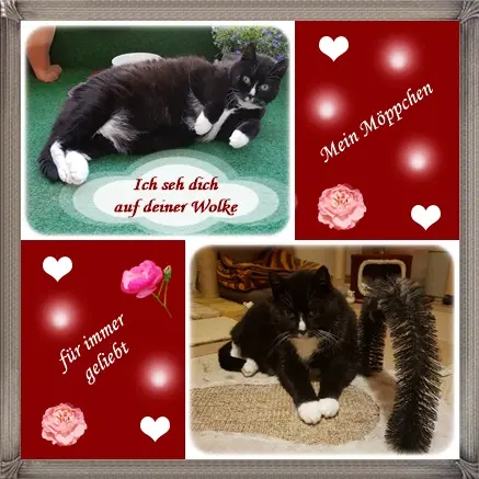 Andachtsbild von deine Ilse in Liebe zum 32. Monatsgedenken