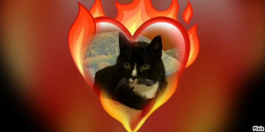 Condolence image of Tanja mit Timmy im 💘