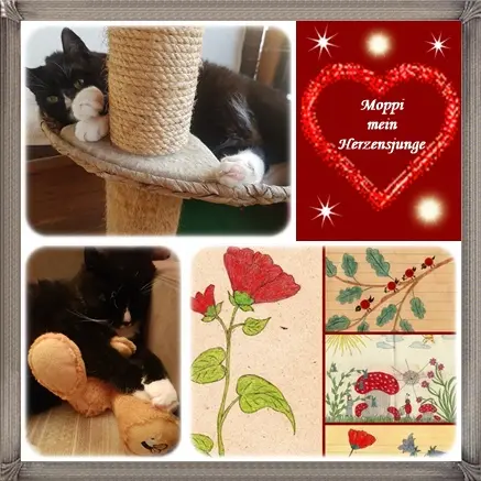 Condolence image of deine Ilse in Liebe zum 34. Monatsgedenken