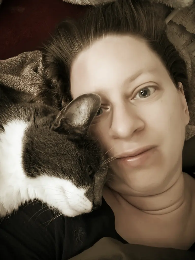 Image from Carry