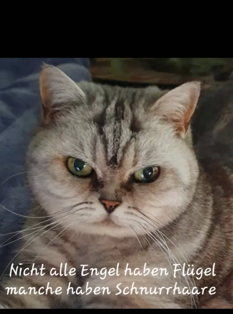 Andachtsbild von Marita mit Lady im Herzen ❤️ gest.7.12.22