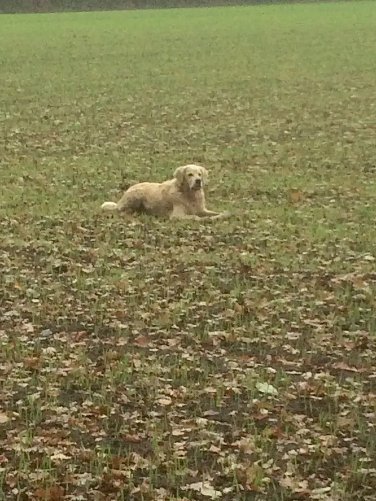 Andachtsbild von Andy und Piet