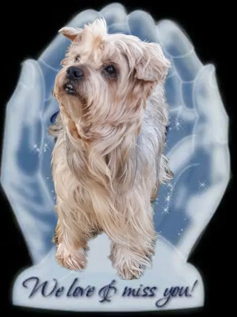 Andachtsbild von Krzysztof und Ewa mit Jacki tief im Herzen ❤