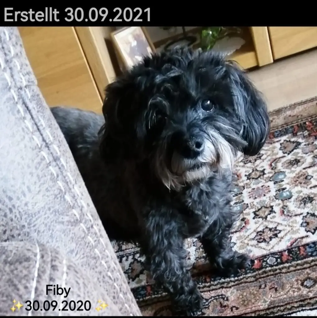 Andachtsbild von Elke und Horst mit Fiby ❤️