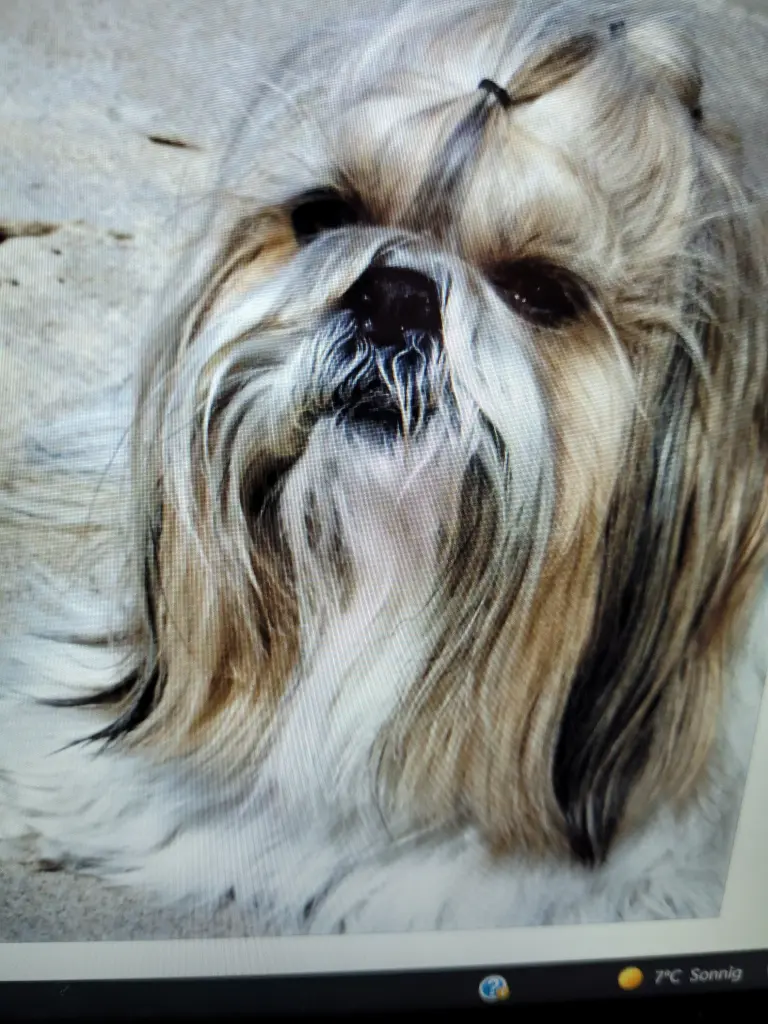 Andachtsbild von Karin