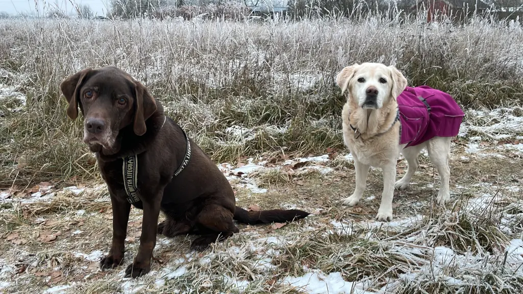 Andachtsbild von Achim&Beate