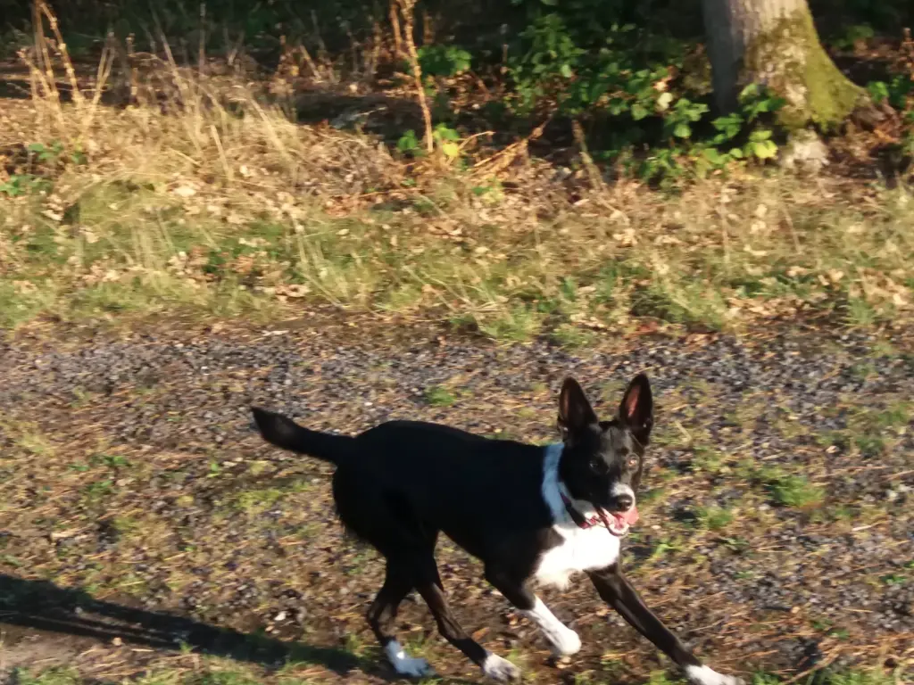 Andachtsbild von Christa