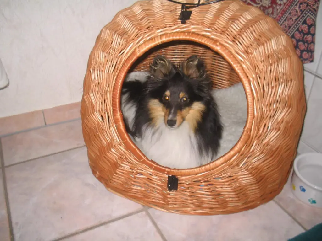 Andachtsbild von Susanne Juralewski