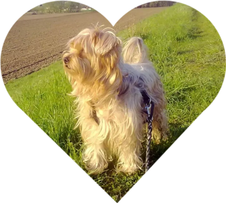 Andachtsbild von Ewa und Krzysztof mit Jacki tief im Herzen ❤