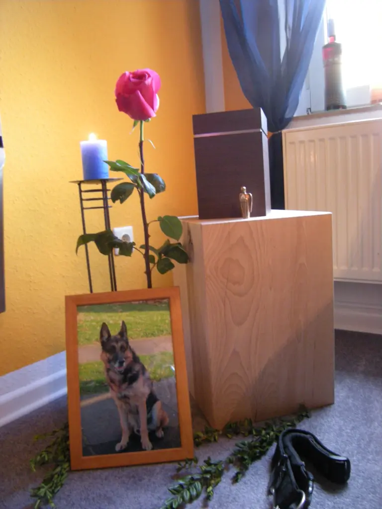 Image from Lukas