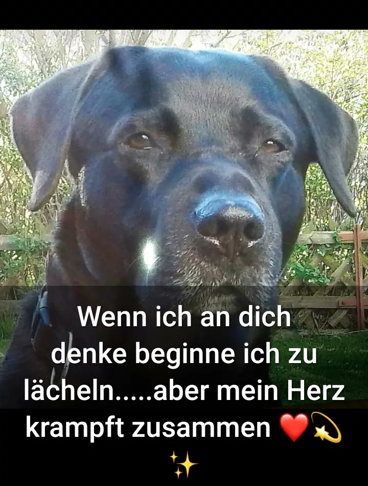 Condolence image of Marion mit Capper im Herzen 