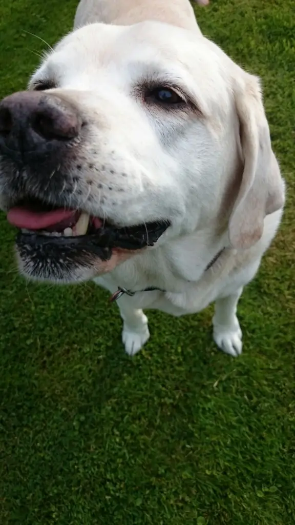 Image from Ernie