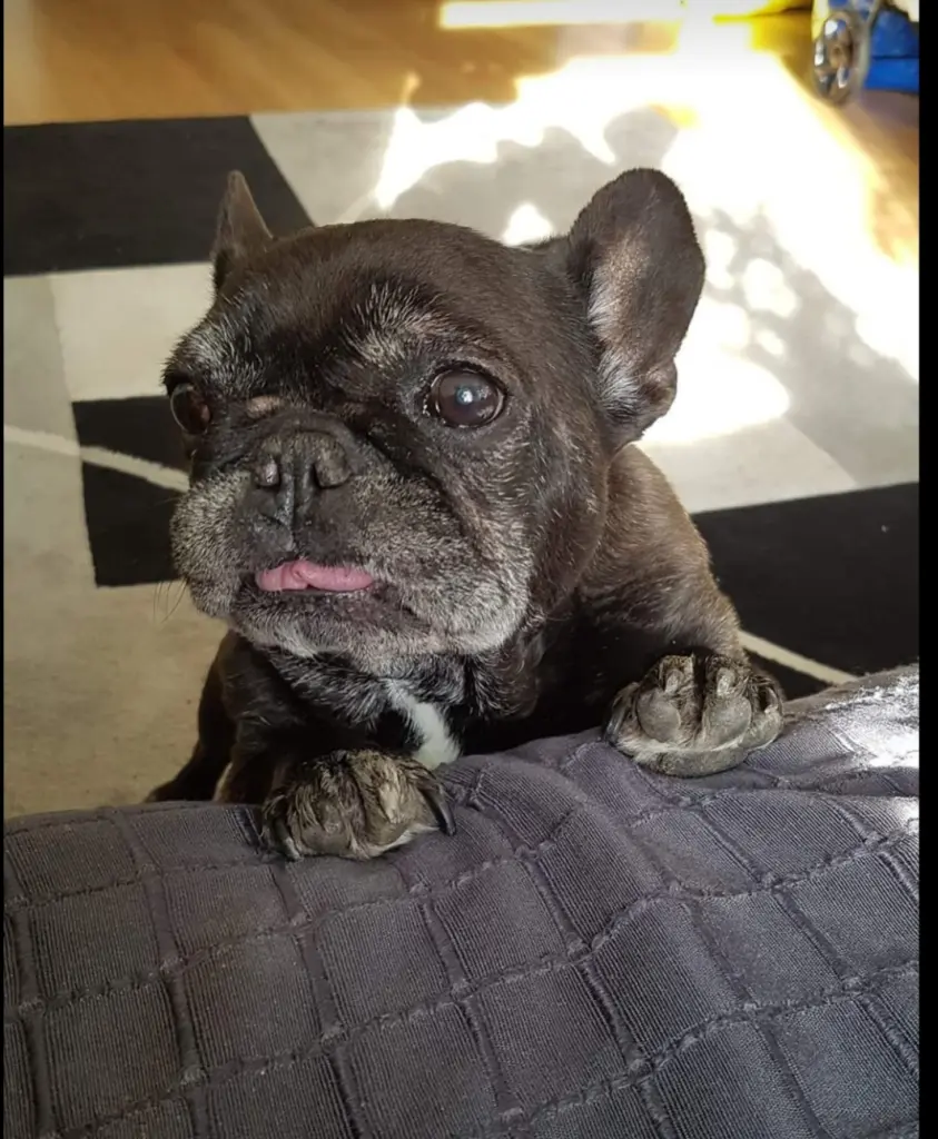 Image from Diva