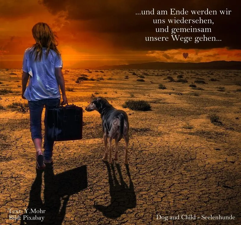 Condolence image of Evi