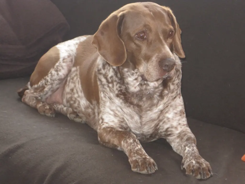 Condolence image of Evi