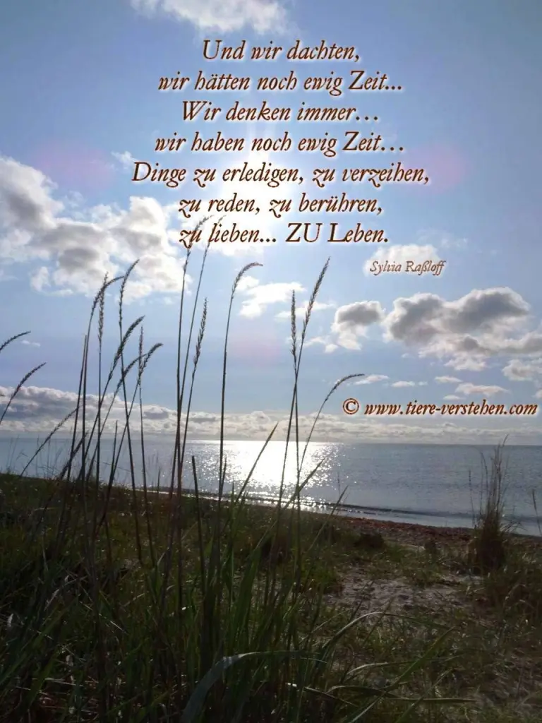 Condolence image of Frauchen