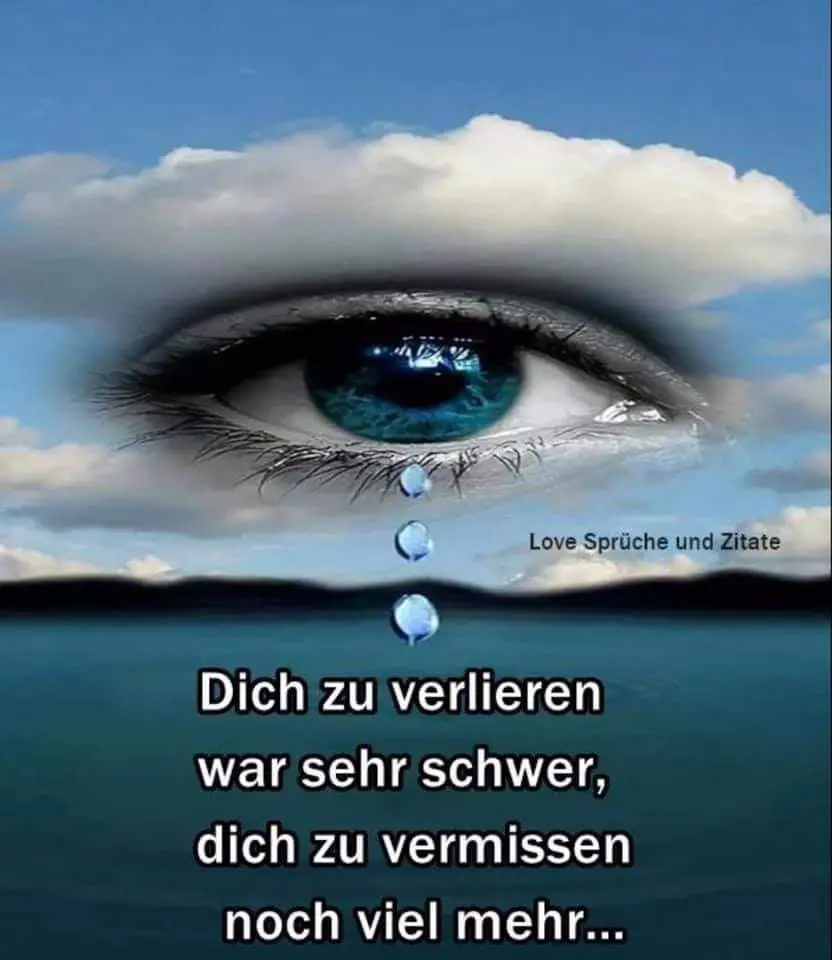 Condolence image of Frauchen
