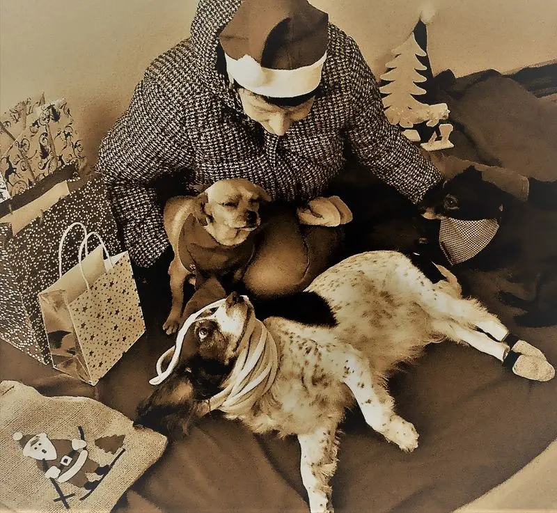 Condolence image of Frauchen
