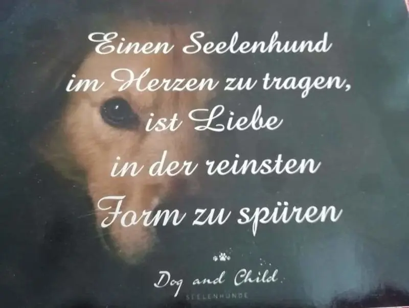 Condolence image of Frauchen