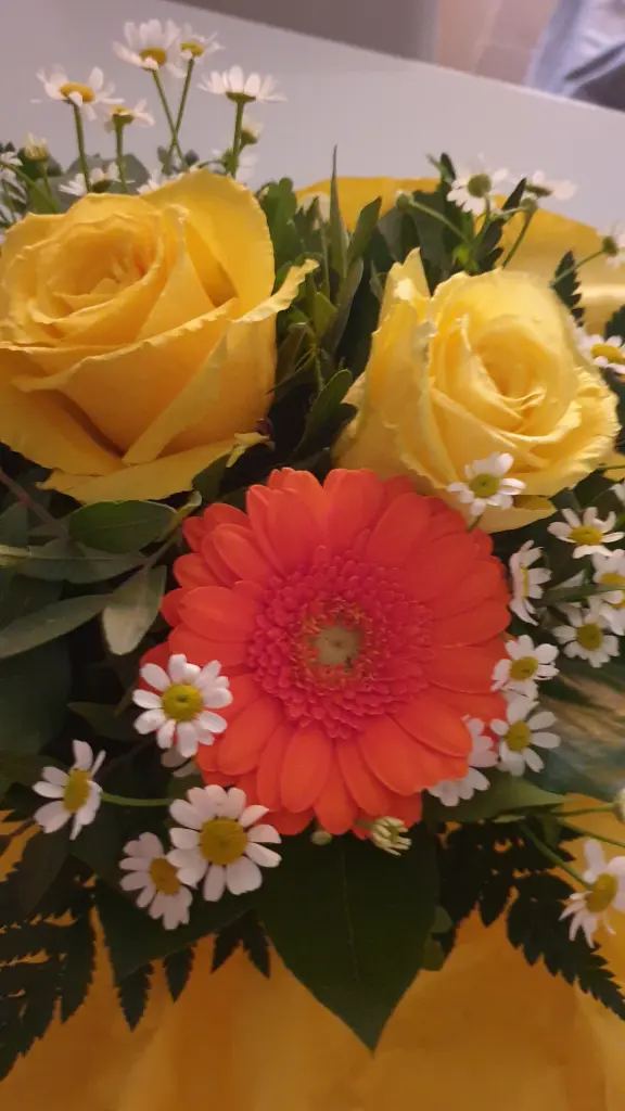 Condolence image of Frauchen