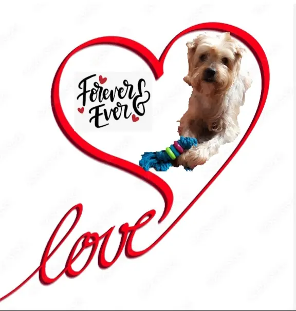 Andachtsbild von Krzysztof und Ewa mit Jacki tief im Herzen ❤