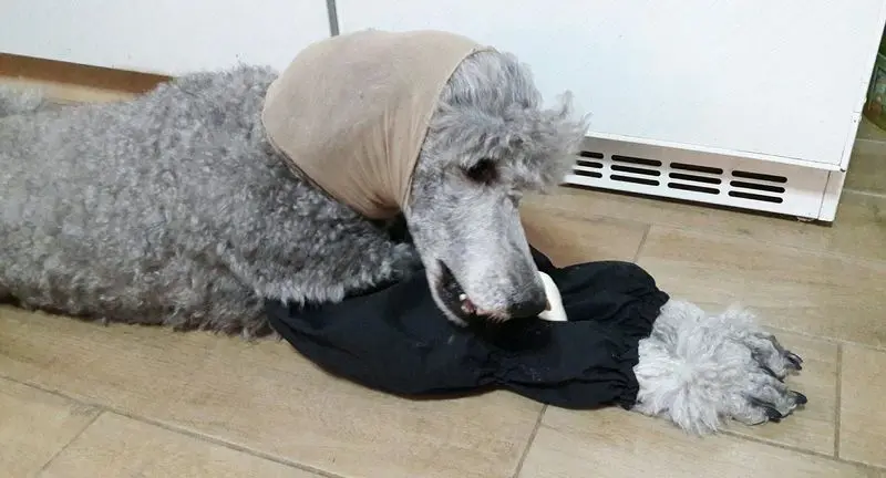 Condolence image of Ellen